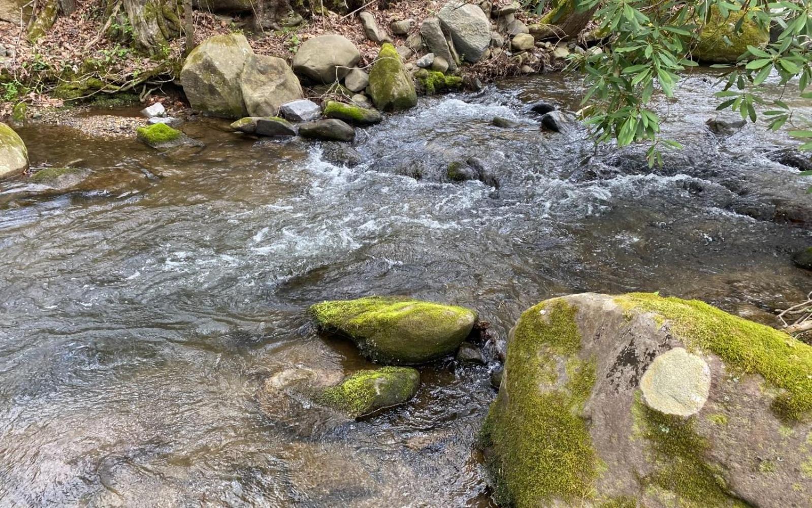 Вілла Shady Creek Гатлінбург Екстер'єр фото